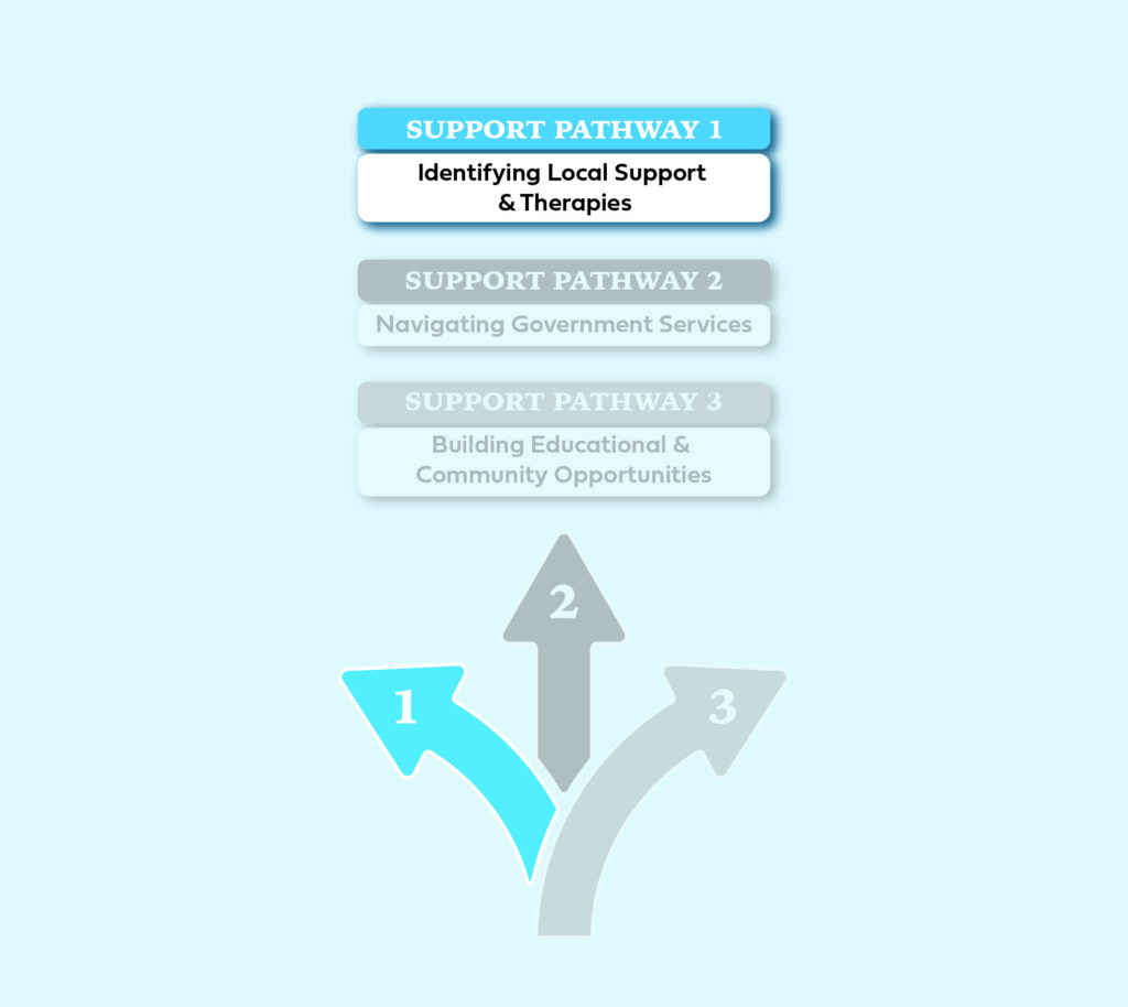 Support Pathway 1: Identifying Local Support & Therapies